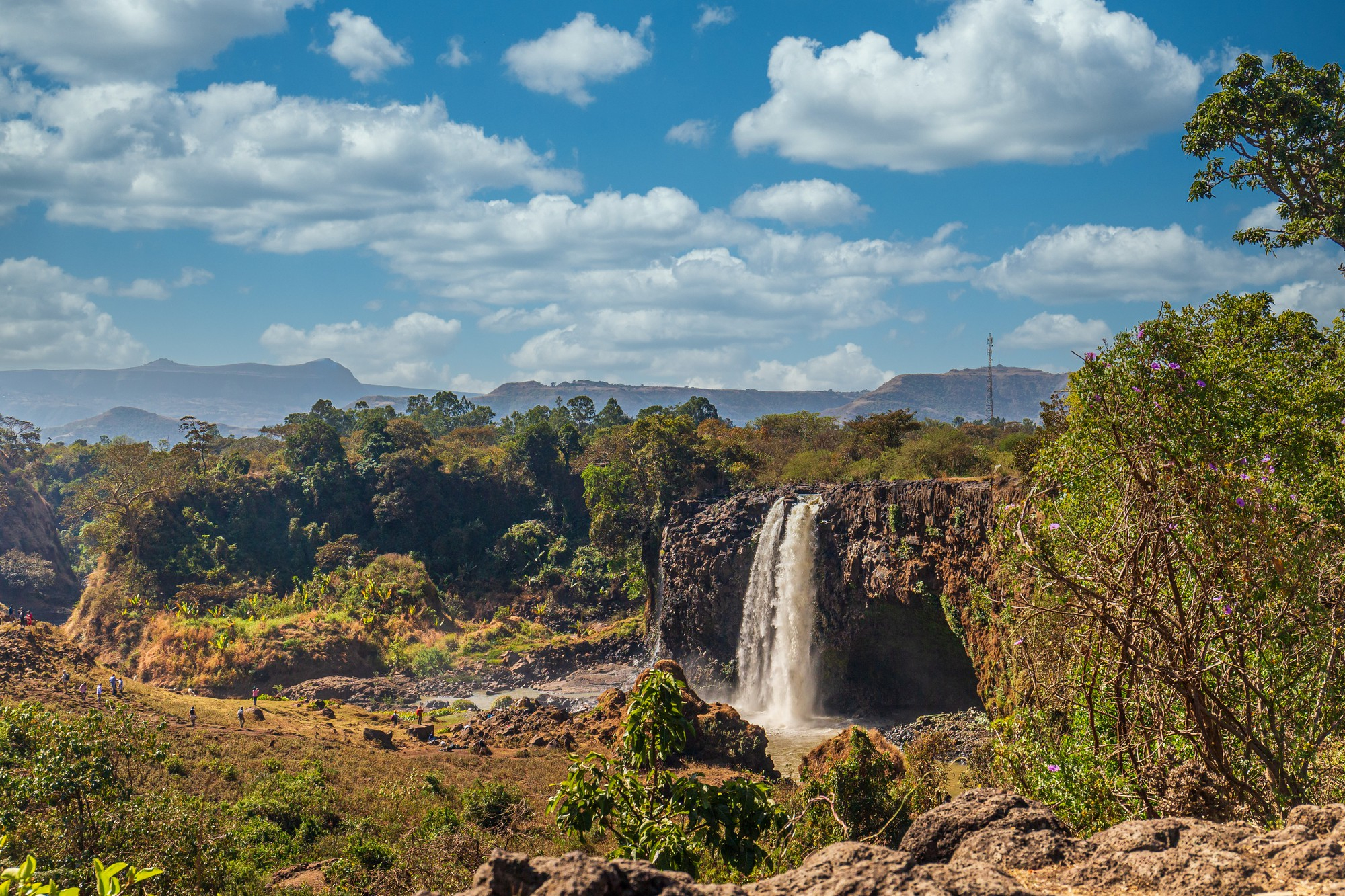 Voyage Durable à Madagascar : Guide Complet pour un Tourisme Responsable
